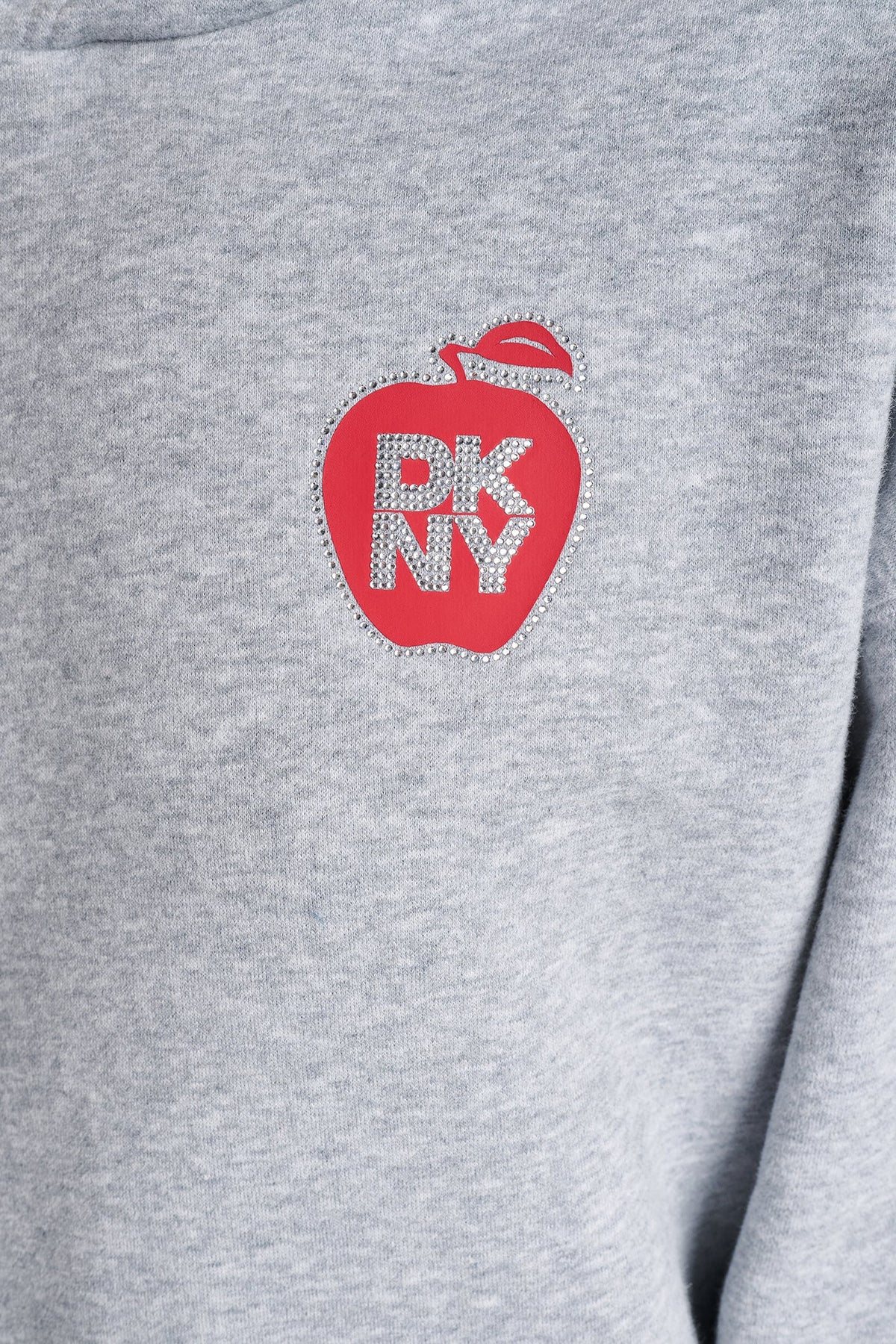 OVERSIZED BIG APPLE LOGO HOODIE - Black | DKNY